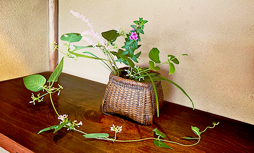 生け花・投げ入れ体験