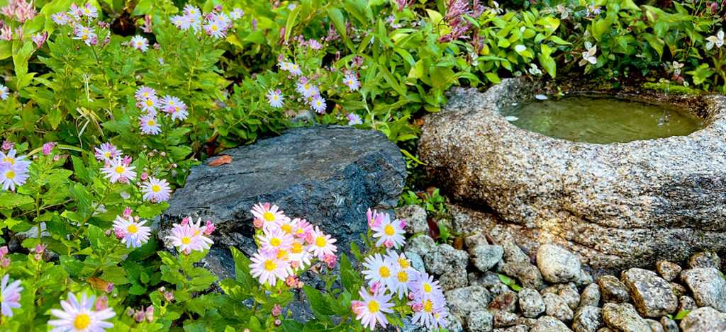 生け花・投入れ体験で自分供養